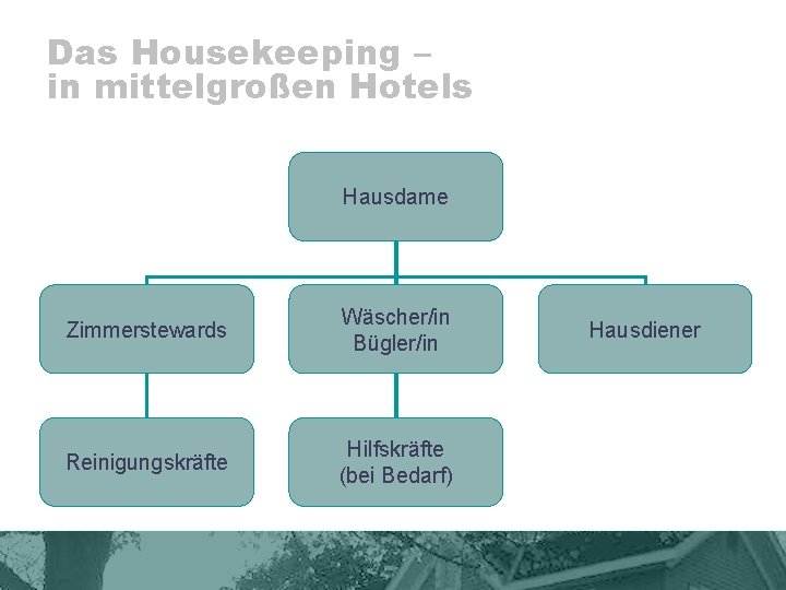 Das Housekeeping – in mittelgroßen Hotels Hausdame Zimmerstewards Wäscher/in Bügler/in Reinigungskräfte Hilfskräfte (bei Bedarf)