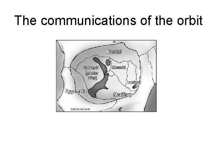 The communications of the orbit 