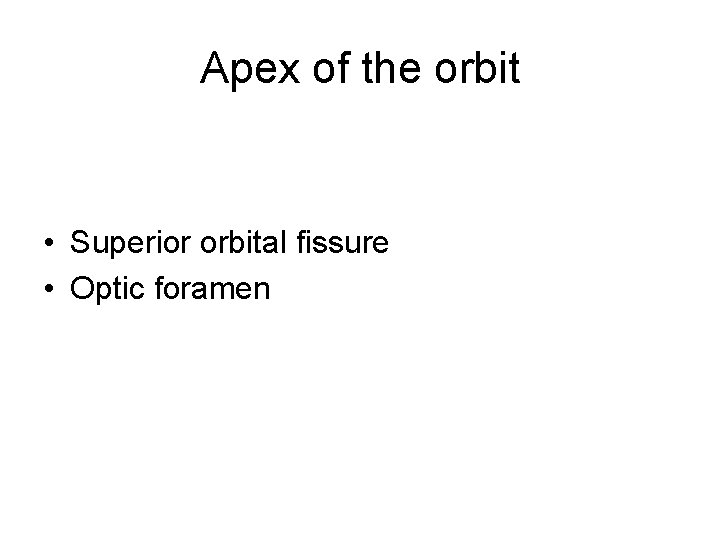 Apex of the orbit • Superior orbital fissure • Optic foramen 