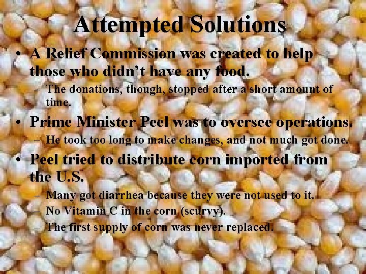 Attempted Solutions • A Relief Commission was created to help those who didn’t have