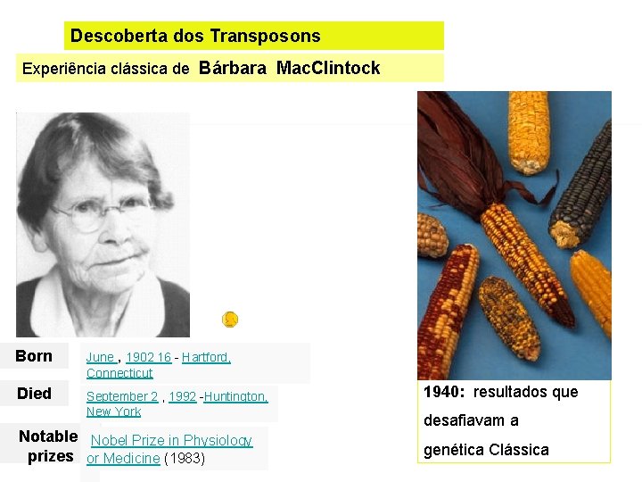 Descoberta dos Transposons Experiência clássica de Bárbara Mac. Clintock Born June , 1902 16