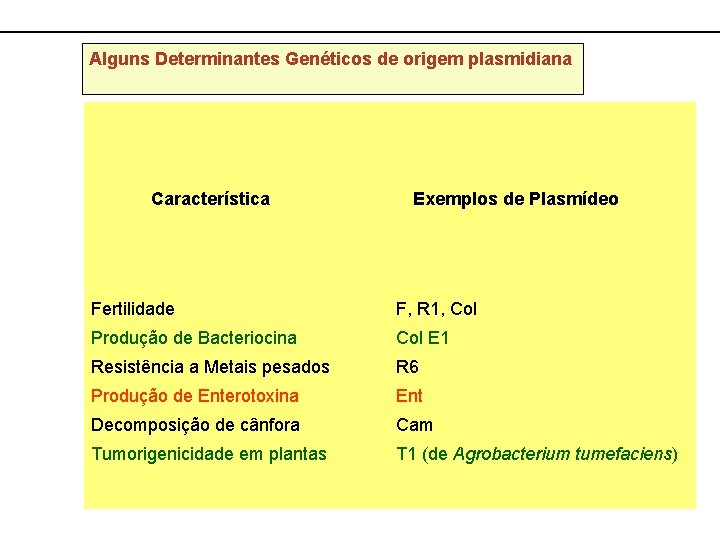 Alguns Determinantes Genéticos de origem plasmidiana Característica Exemplos de Plasmídeo Fertilidade F, R 1,