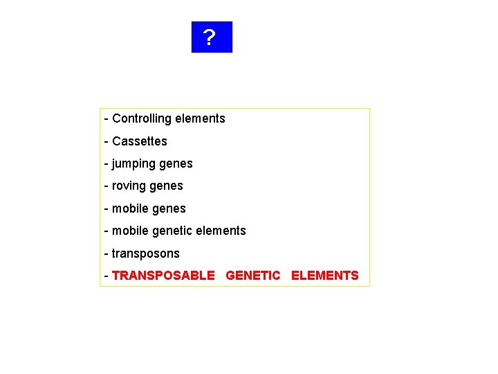  ? - Controlling elements - Cassettes - jumping genes - roving genes -