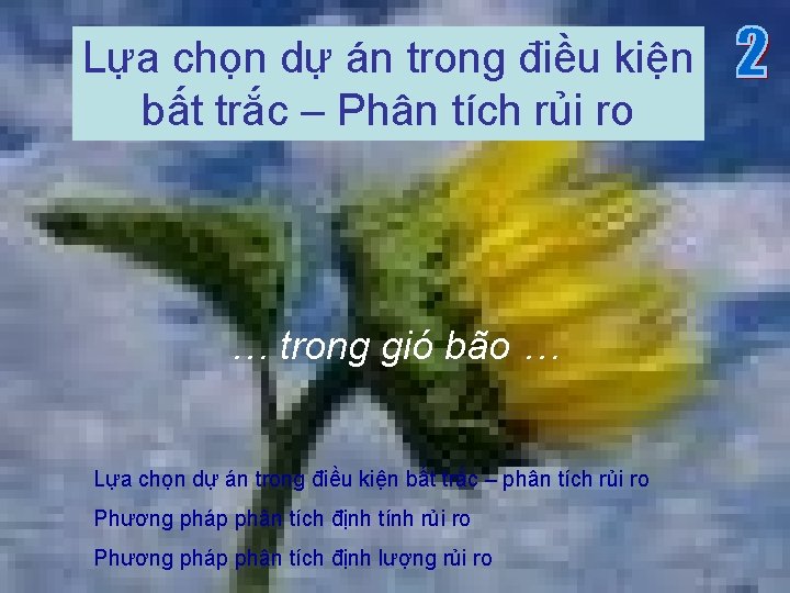 Lựa chọn dự án trong điều kiện bất trắc – Phân tích rủi ro