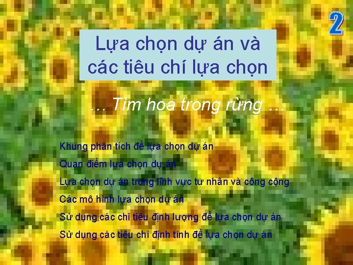 Lựa chọn dự án và các tiêu chí lựa chọn … Tìm hoa trong