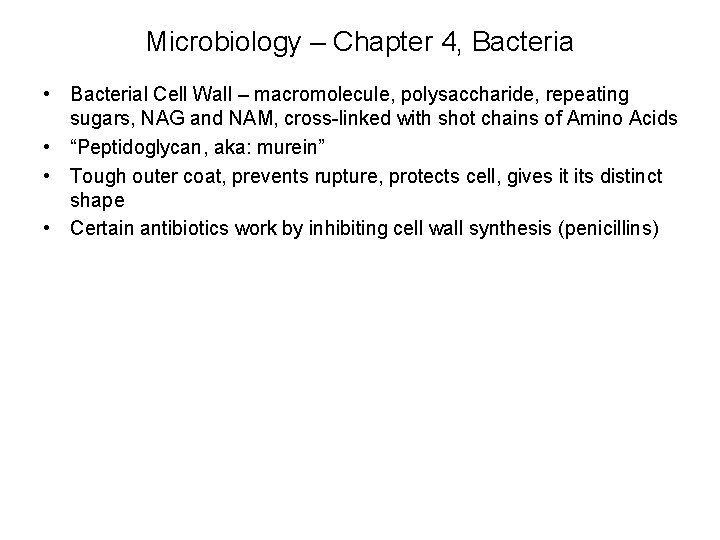 Microbiology – Chapter 4, Bacteria • Bacterial Cell Wall – macromolecule, polysaccharide, repeating sugars,