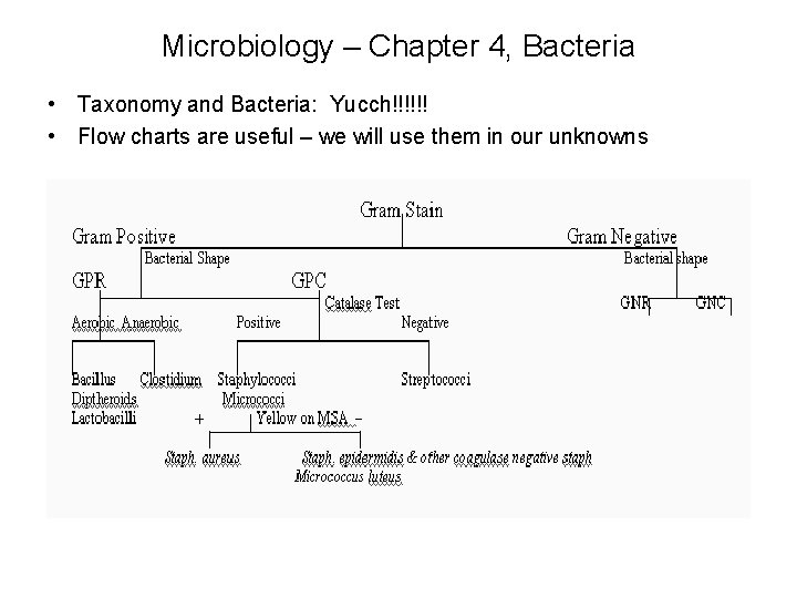 Microbiology – Chapter 4, Bacteria • Taxonomy and Bacteria: Yucch!!!!!! • Flow charts are