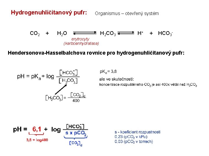 Hydrogenuhličitanový pufr: CO 2 + H 2 O Organismus – otevřený systém erytrocyty (karboanhydratasa)