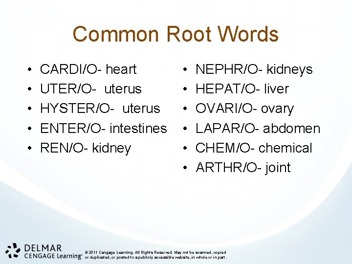 Common Root Words • • • CARDI/O- heart UTER/O- uterus HYSTER/O- uterus ENTER/O- intestines