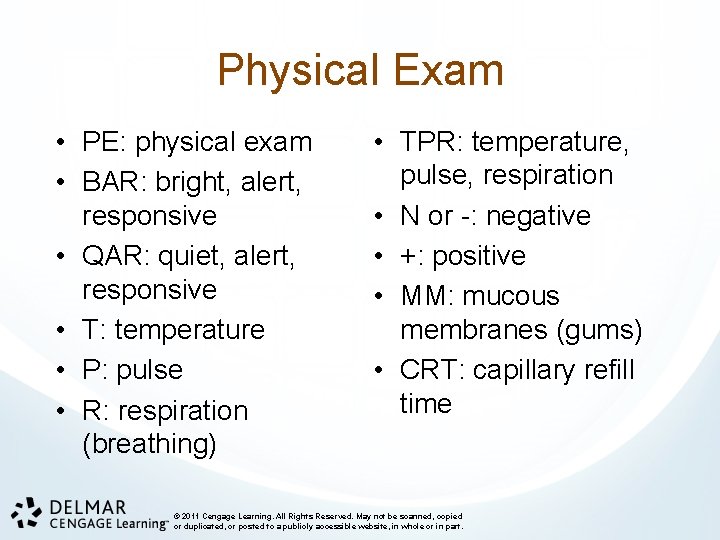 Physical Exam • PE: physical exam • BAR: bright, alert, responsive • QAR: quiet,