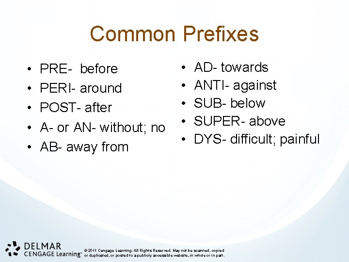 Common Prefixes • • • PRE- before PERI- around POST- after A- or AN-