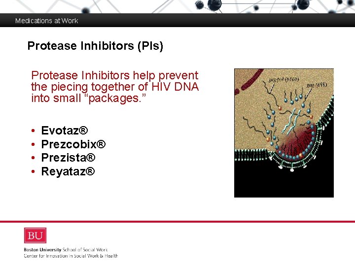 Medications at Work Protease Inhibitors (PIs) Boston University Slideshow Title Goes Here Protease Inhibitors