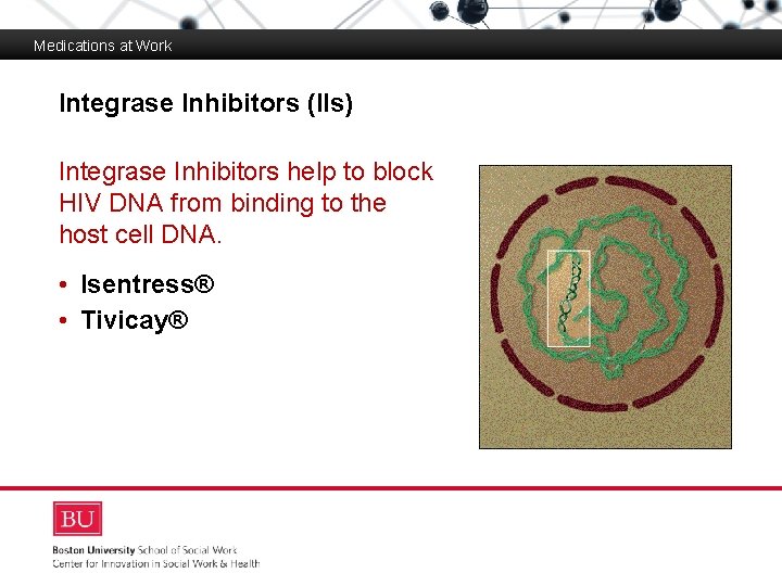 Medications at Work Integrase Inhibitors (IIs) Boston University Slideshow Title Goes Here Integrase Inhibitors