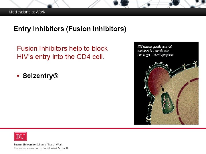 Medications at Work Entry Inhibitors (Fusion Inhibitors) Boston University Slideshow Title Goes Here Fusion