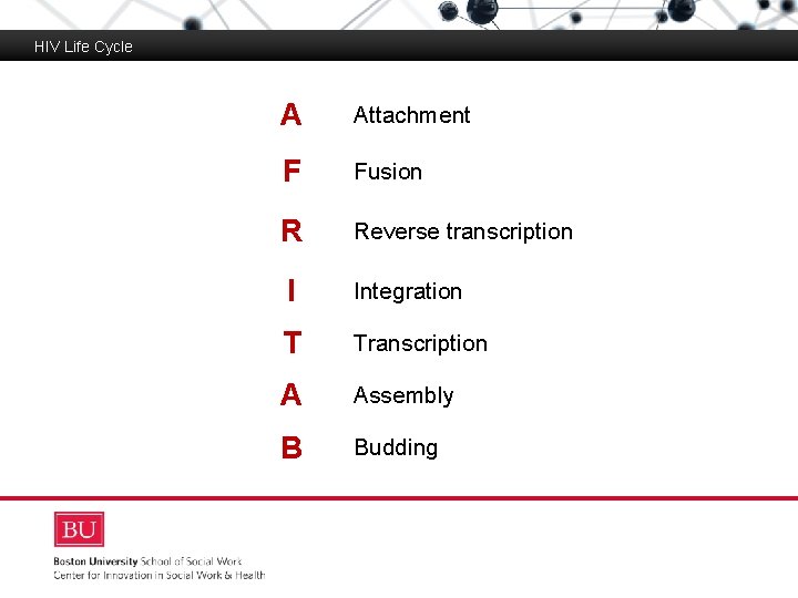 HIV Life Cycle A Attachment Boston University Slideshow Title Goes Here F Fusion R