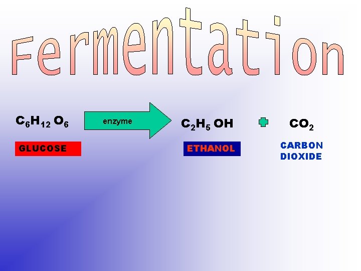 C 6 H 12 O 6 GLUCOSE enzyme C 2 H 5 OH ETHANOL