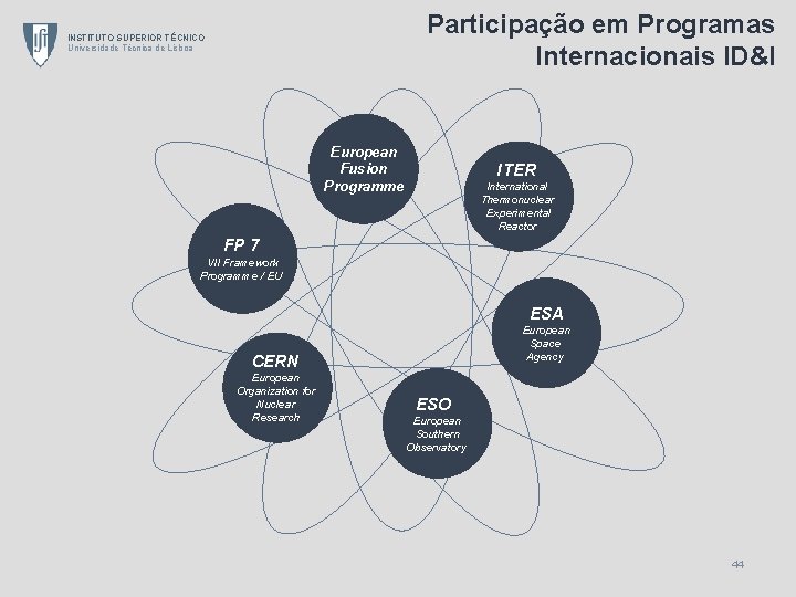 Participação em Programas Internacionais ID&I INSTITUTO SUPERIOR TÉCNICO Universidade Técnica de Lisboa European Fusion