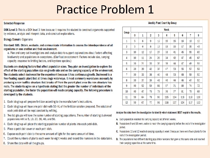 Practice Problem 1 