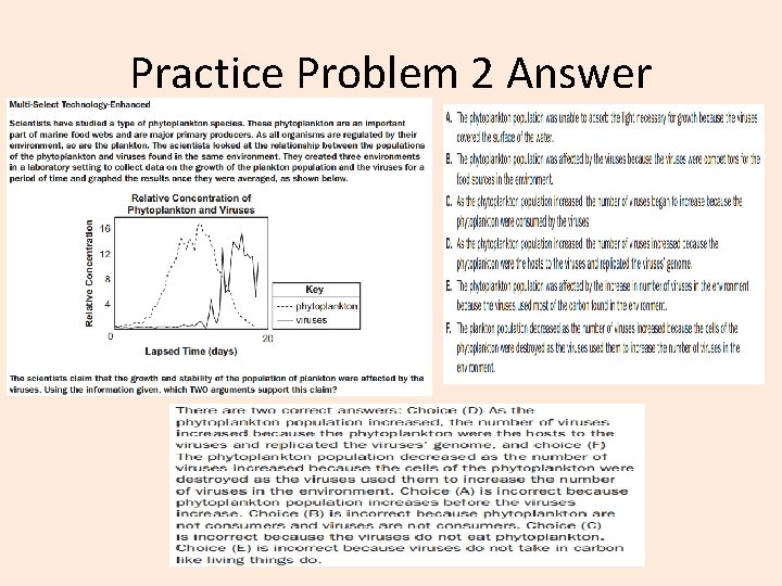 Practice Problem 2 Answer 