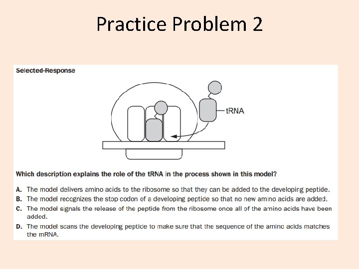 Practice Problem 2 