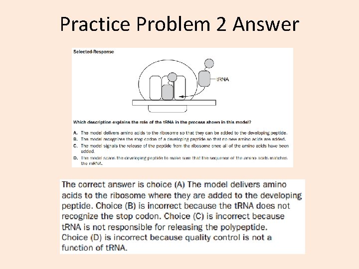 Practice Problem 2 Answer 