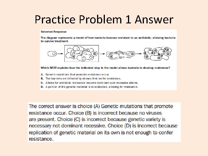 Practice Problem 1 Answer 