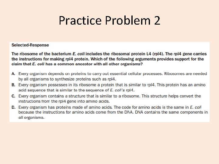 Practice Problem 2 