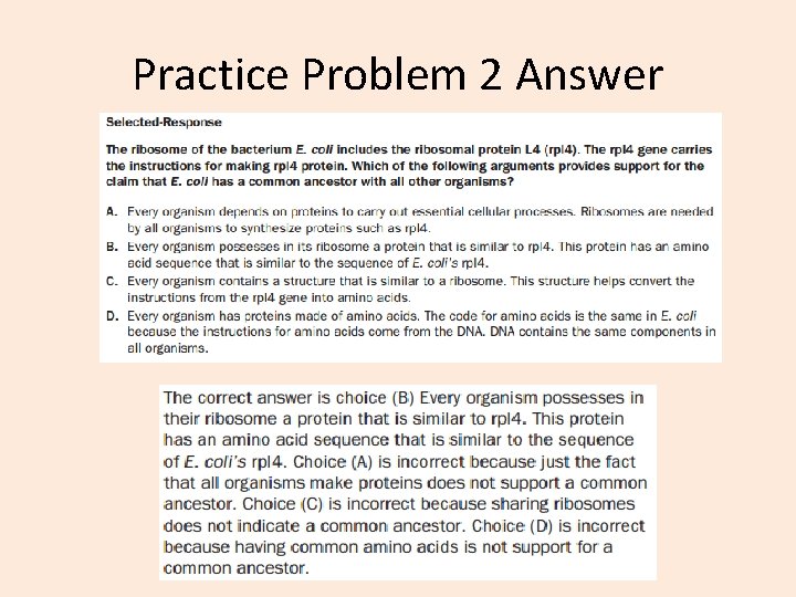 Practice Problem 2 Answer 