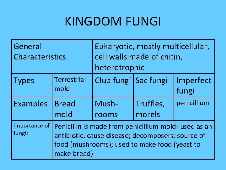 KINGDOM FUNGI General Characteristics Eukaryotic, mostly multicellular, cell walls made of chitin, heterotrophic Terrestrial
