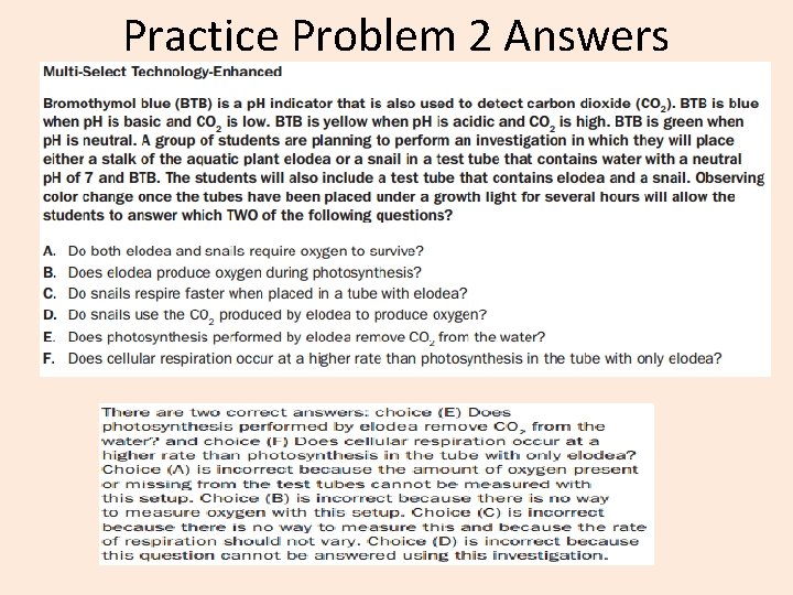 Practice Problem 2 Answers 