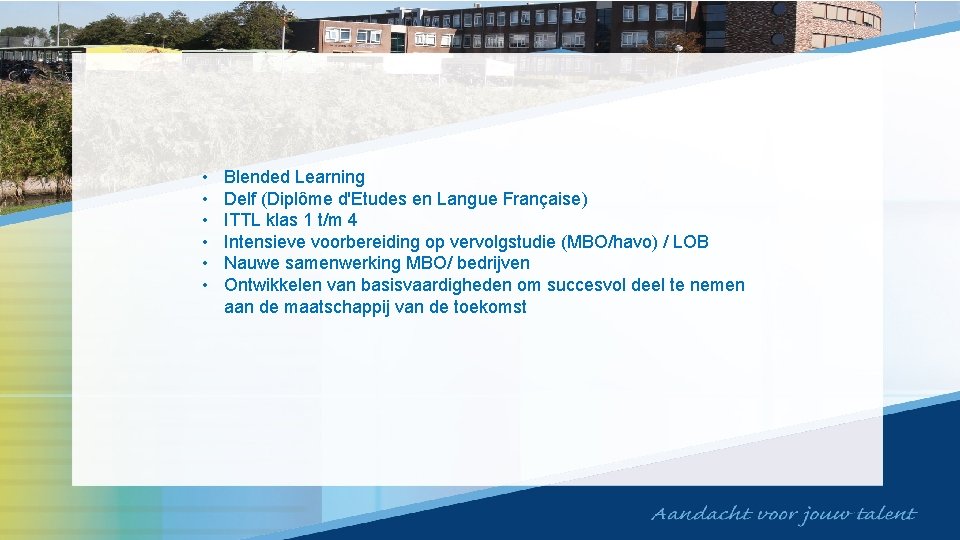  • • • Blended Learning Delf (Diplôme d'Etudes en Langue Française) ITTL klas