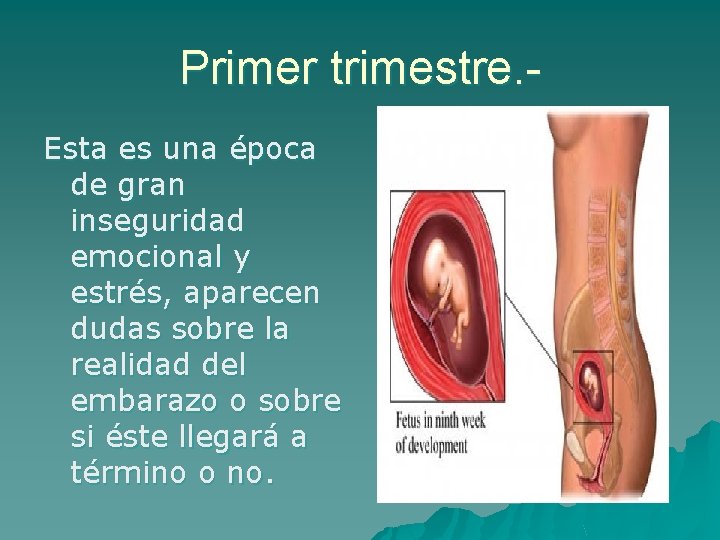 Primer trimestre. Esta es una época de gran inseguridad emocional y estrés, aparecen dudas