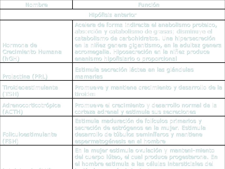 Nombre Función Hipófisis anterior Hormona de Crecimiento Humana (h. GH) Acelera de forma indirecta