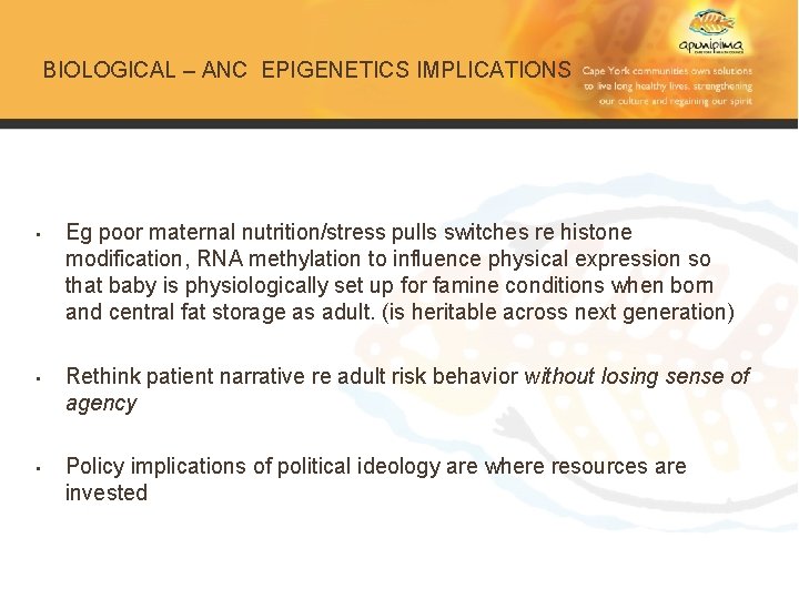 BIOLOGICAL – ANC EPIGENETICS IMPLICATIONS • Eg poor maternal nutrition/stress pulls switches re histone