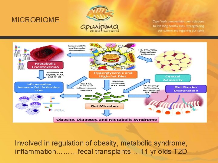 MICROBIOME Involved in regulation of obesity, metabolic syndrome, inflammation………fecal transplants…. 11 yr olds T