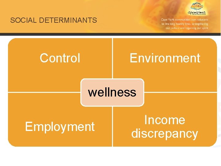 SOCIAL DETERMINANTS Control Environment wellness Employment Income discrepancy 