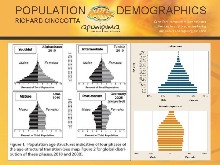 POPULATION RICHARD CINCCOTTA DEMOGRAPHICS 