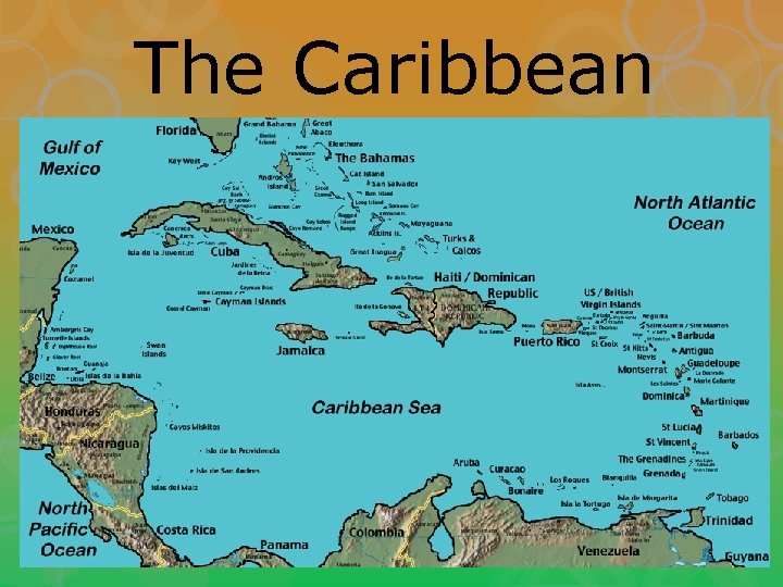 The Caribbean 
