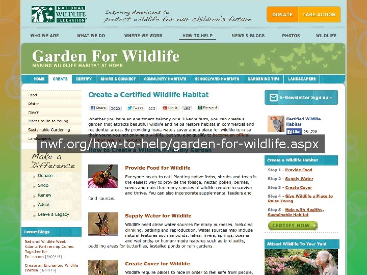 nwf. org/how-to-help/garden-for-wildlife. aspx 