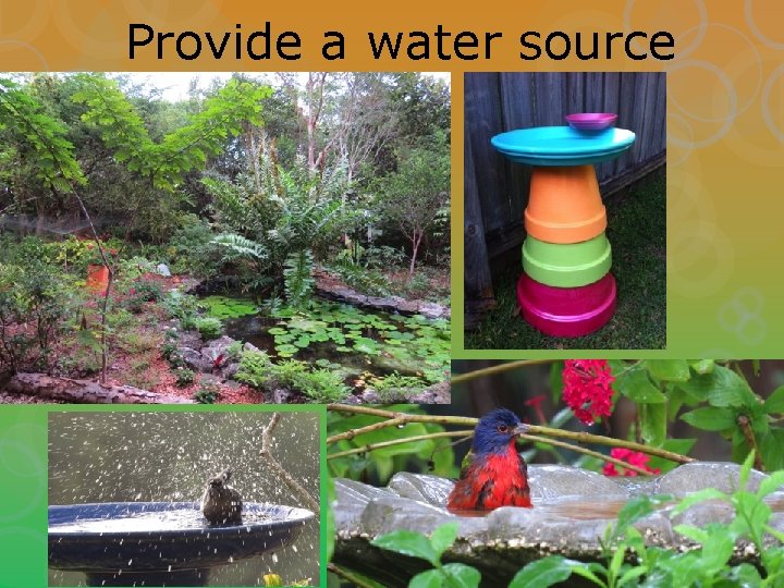 Provide a water source 