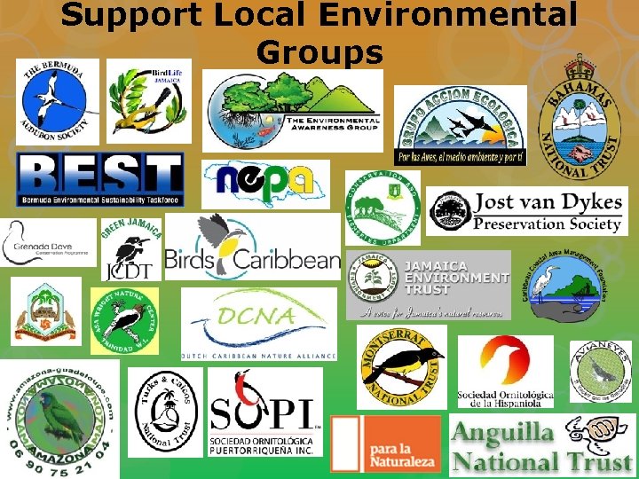 Support Local Environmental Groups 