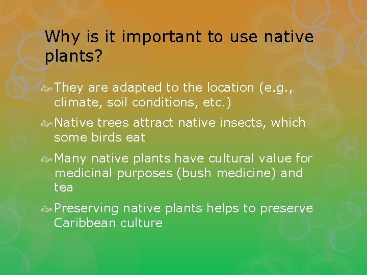 Why is it important to use native plants? They are adapted to the location