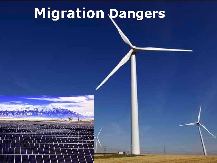 Migration Dangers 