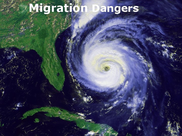 Migration Dangers 