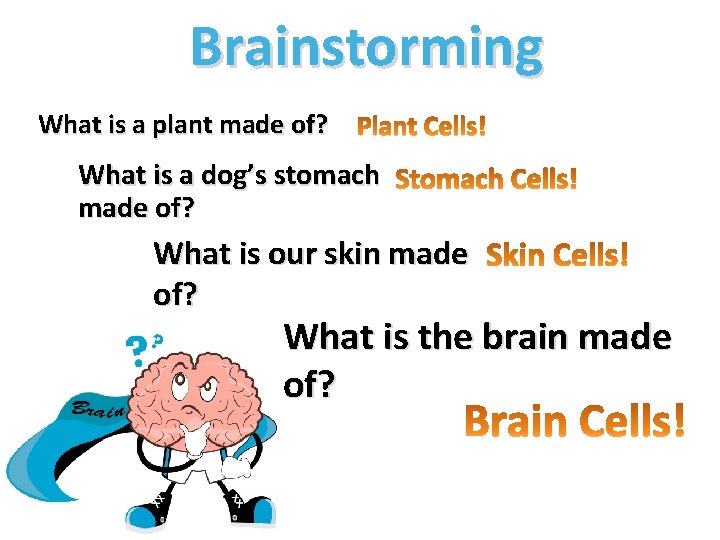Brainstorming What is a plant made of? What is a dog’s stomach made of?