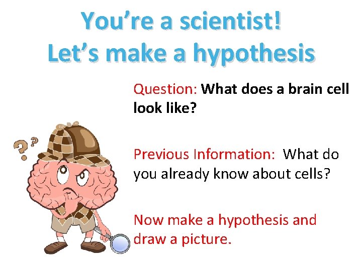 You’re a scientist! Let’s make a hypothesis Question: What does a brain cell look