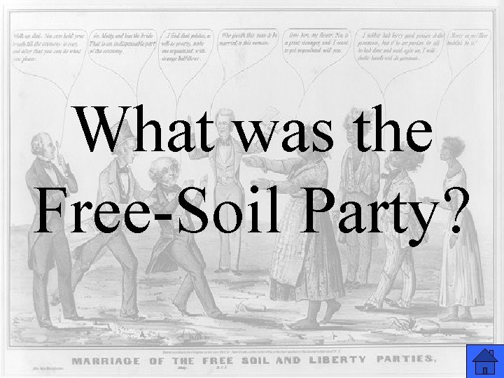 What was the Free-Soil Party? 