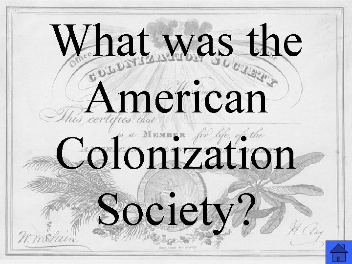 What was the American Colonization Society? 