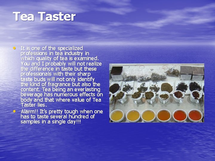 Tea Taster • It is one of the specialized • professions in tea industry