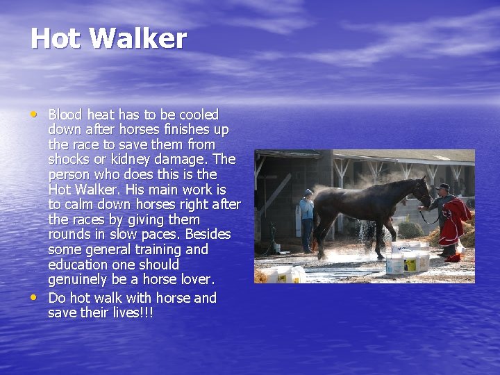 Hot Walker • Blood heat has to be cooled • down after horses finishes